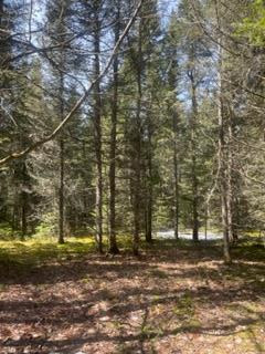 0 Swinyer Road Vermontville, NY 12989 - Photo 18 of 24 Gallery Image 18