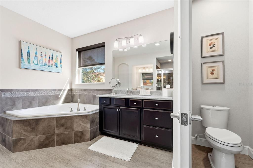 302 Coco Plum Court Oldsmar, FL 34677 - Photo 19 of 58