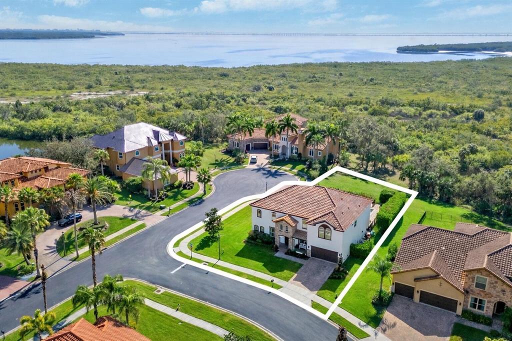 302 Coco Plum Court Oldsmar, FL 34677 - Photo 49 of 58