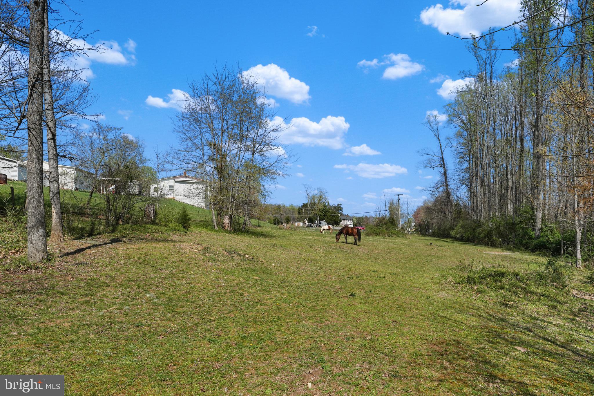 19303 Frazier Road Culpeper, VA 22701 - Photo 54 of 59 Gallery Image 54