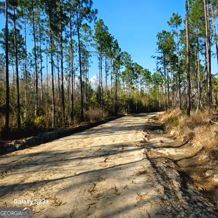 $655,100 | 0 Mill Branch Club Rd 1l, Pembroke, GA 31321