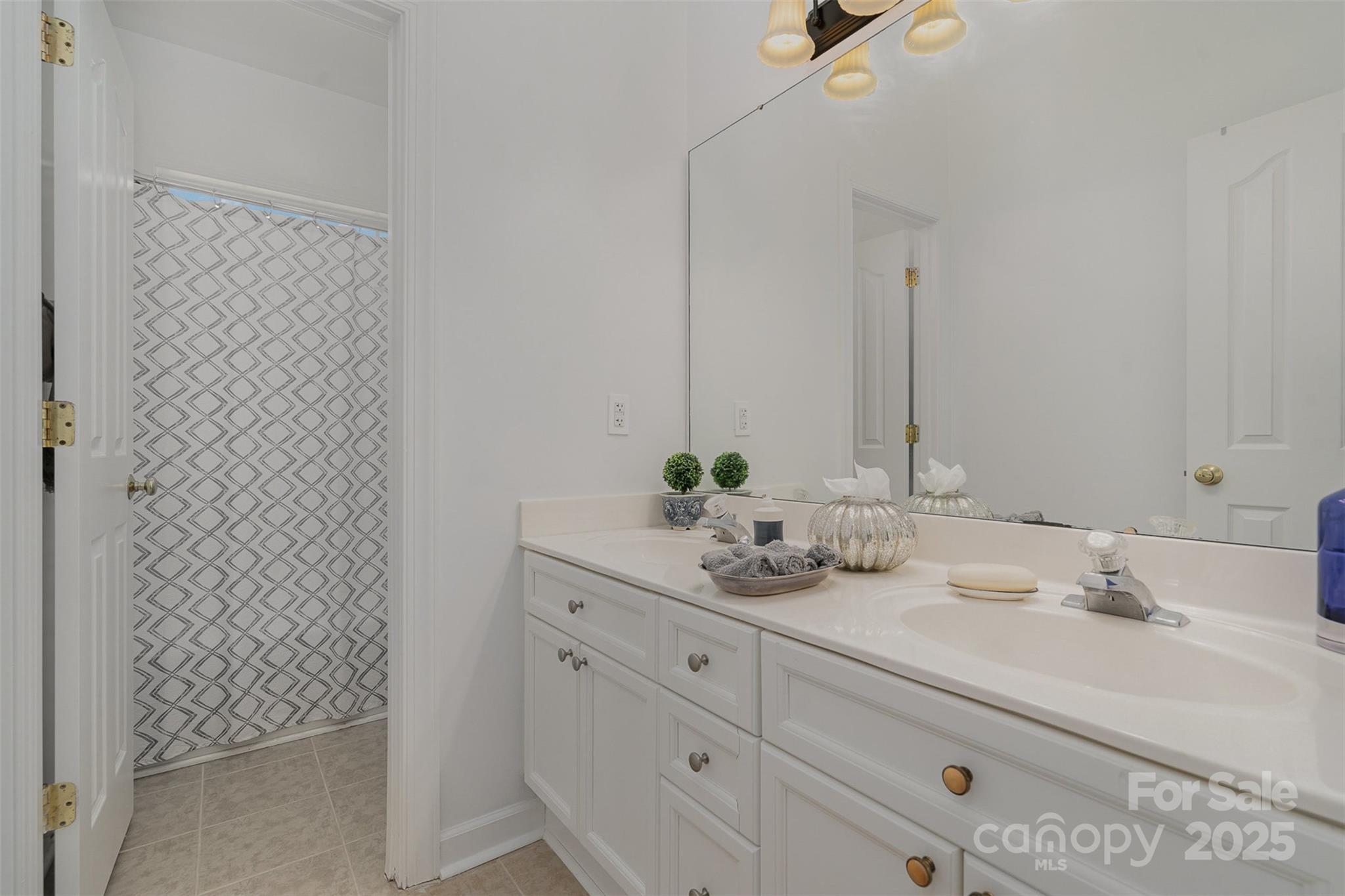 10929 Valley Spring Drive Charlotte, NC 28277 - Photo 25 of 43 a bathroom with a sink and a mirror