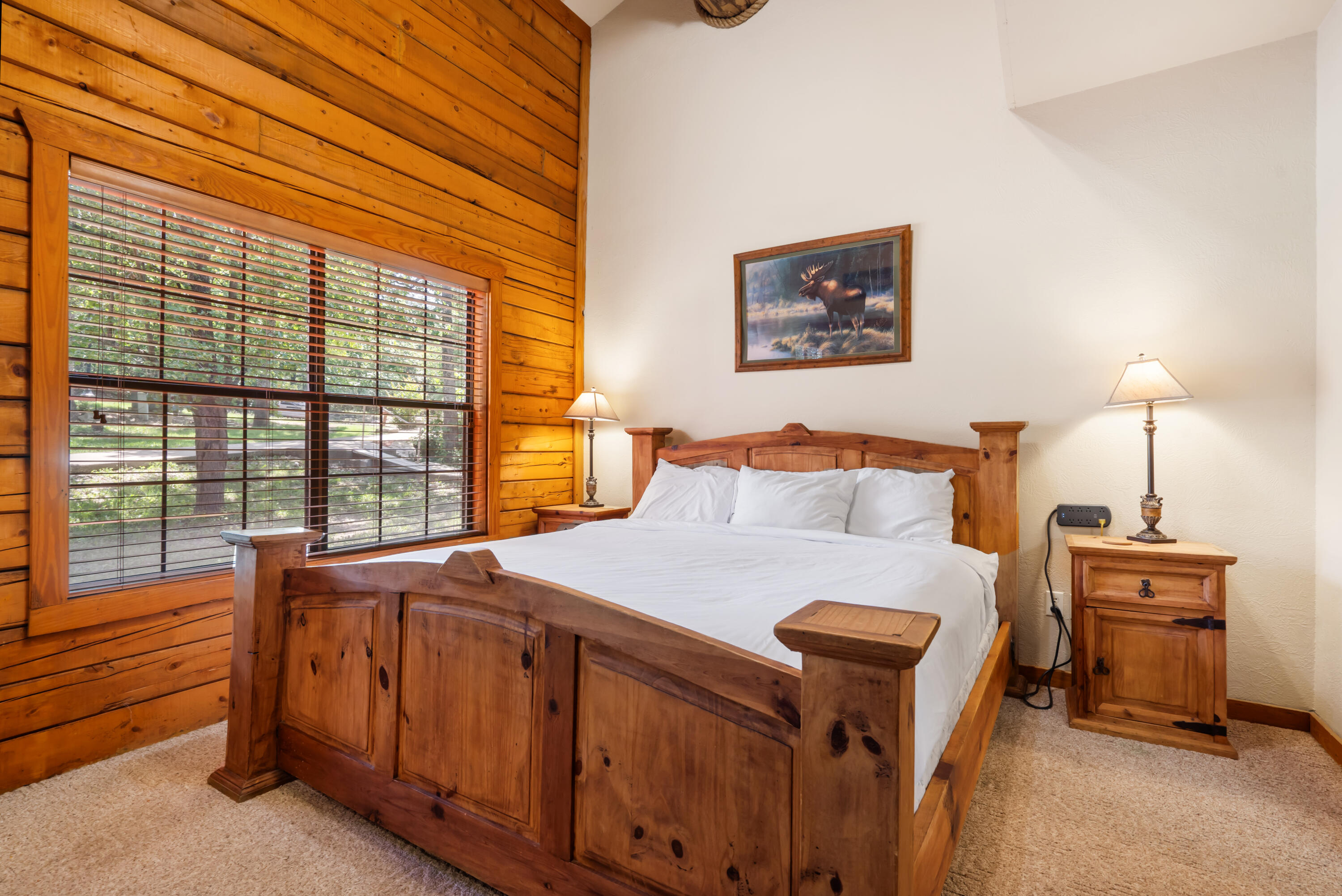 238 Oakridge Road Branson, MO 65616 - Photo 10 of 21 238 Oakridge Road