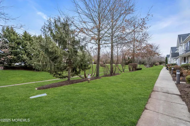a view of a park with large trees