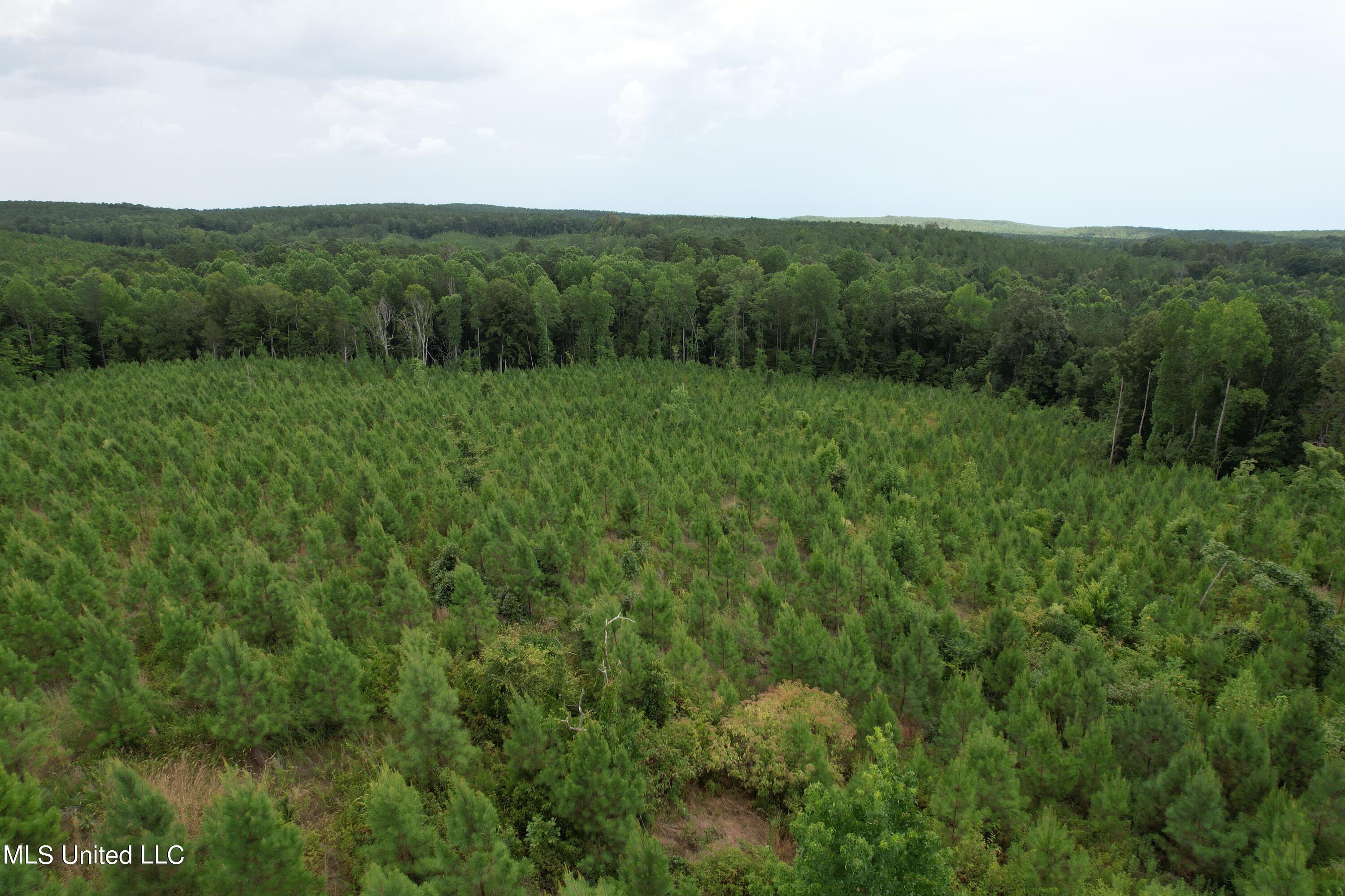 481 County Road Paris, MS 38949 - Photo 2 of 5 DJI_0665