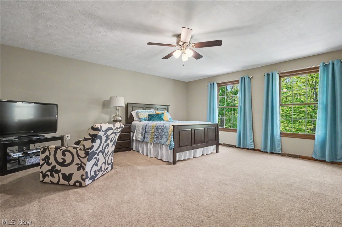 11003 Prouty Road Painesville, OH 44077 - Photo 36 of 50
