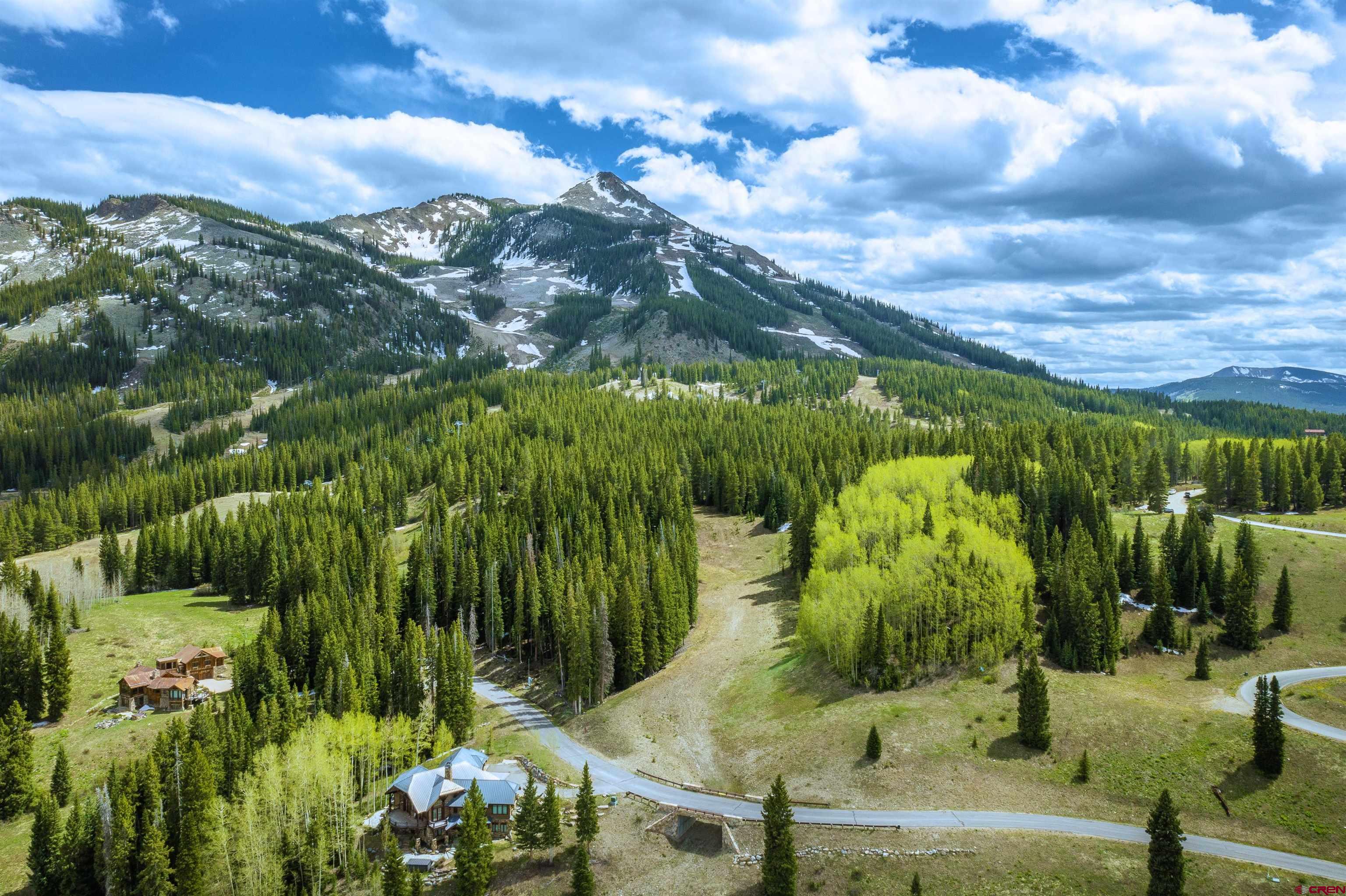 E23 Prospect Drive Crested Butte, CO 81225 - Photo 13 of 25 a view of a yard with plants