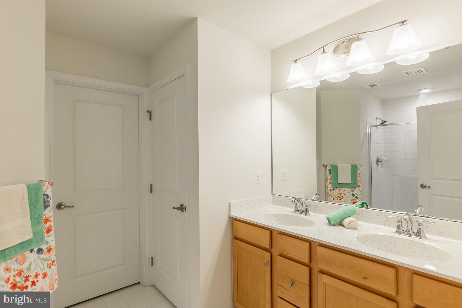15045 North Ridge Boulevard Culpeper, VA 22701 - Photo 18 of 35 Luxury Master bath with double vanity & WIC