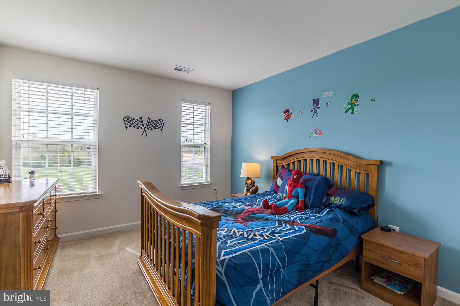 15045 North Ridge Boulevard Culpeper, VA 22701 - Photo 20 of 35 2nd bedroom with ample light, custom paint