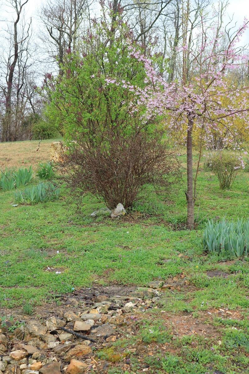 1472 Greasy Ridge Road Stanford, KY 40484 - Photo 6 of 77 Photo 6