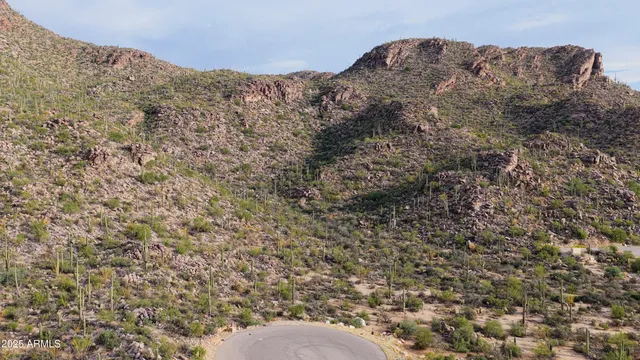 a view of a mountain in the distance in a field