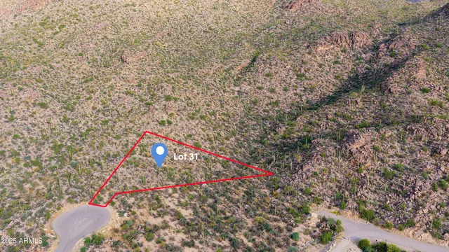 a view of a large tree in a field