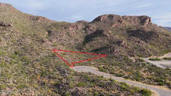 a view of a dry yard