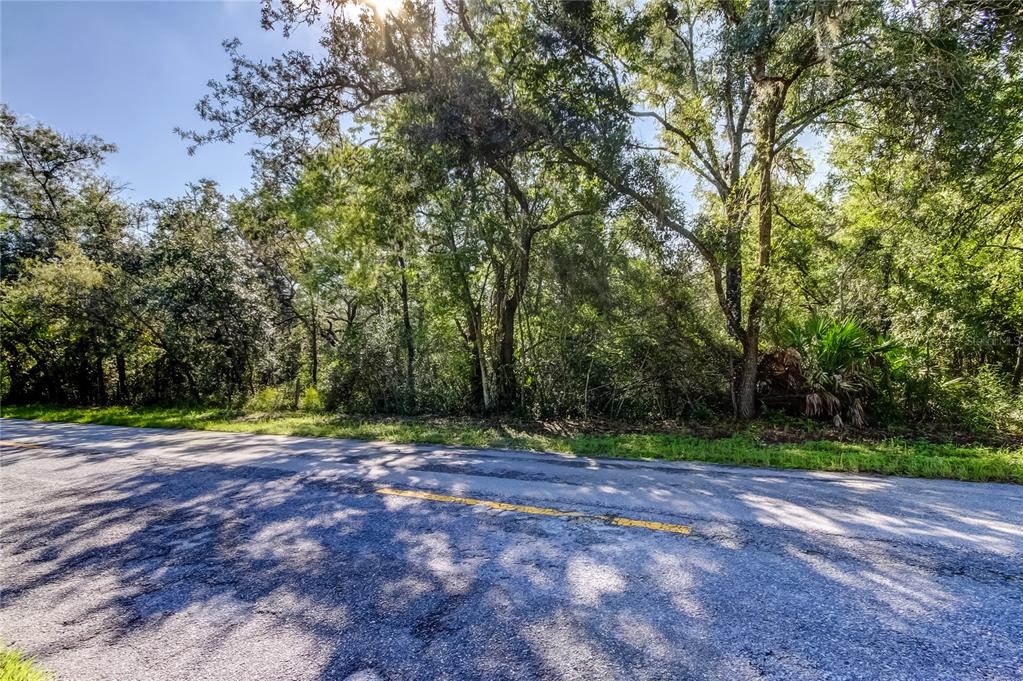 a view of outdoor space with trees