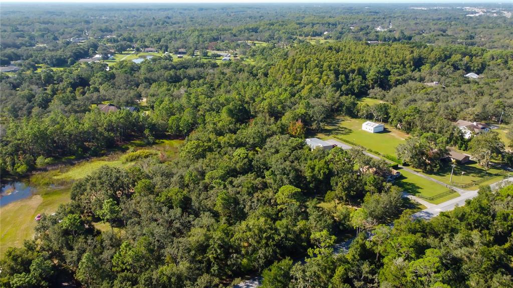 9670 Star Trail New Port Richey, FL 34654 - Photo 11 of 29 an aerial view of residential houses with outdoor space and trees