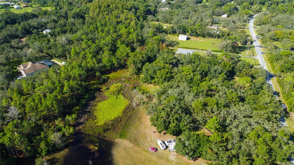 9670 Star Trail New Port Richey, FL 34654 - Photo 12 of 29 a view of a yard with a tree
