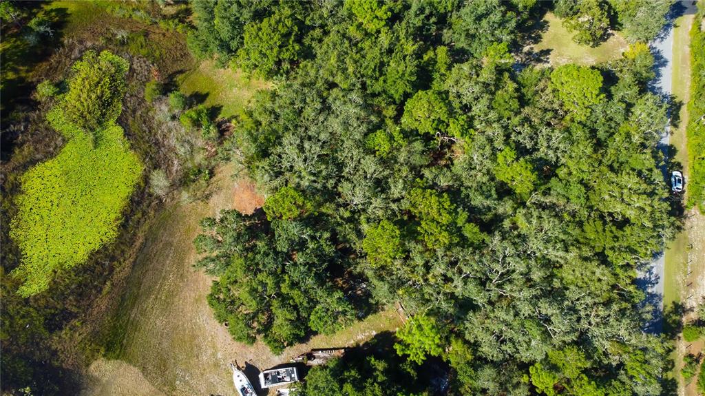 9670 Star Trail New Port Richey, FL 34654 - Photo 13 of 29 a view of a garden