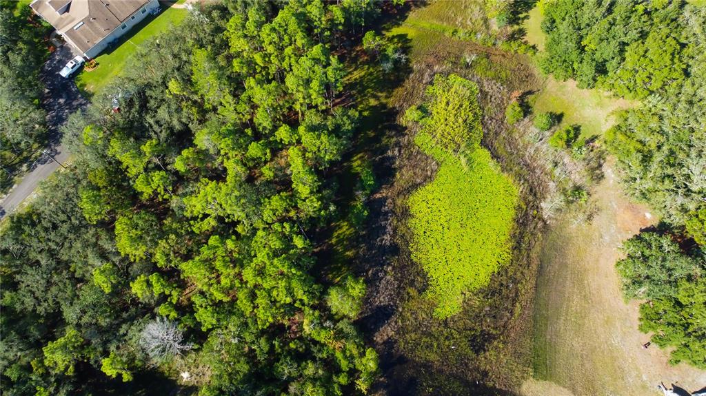 9670 Star Trail New Port Richey, FL 34654 - Photo 14 of 29 a view of a garden