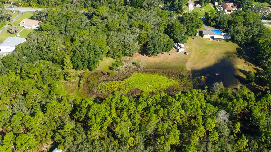 9670 Star Trail New Port Richey, FL 34654 - Photo 15 of 29 a view of a yard in a garden