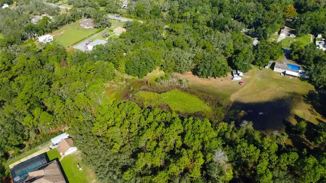 a view of a bunch of plants and trees