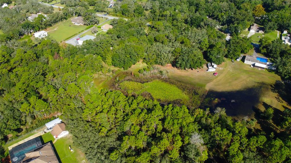 9670 Star Trail New Port Richey, FL 34654 - Photo 16 of 29 a view of a bunch of plants and trees