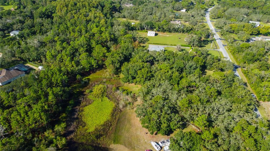 9670 Star Trail New Port Richey, FL 34654 - Photo 17 of 29 a view of a yard with plants and tree