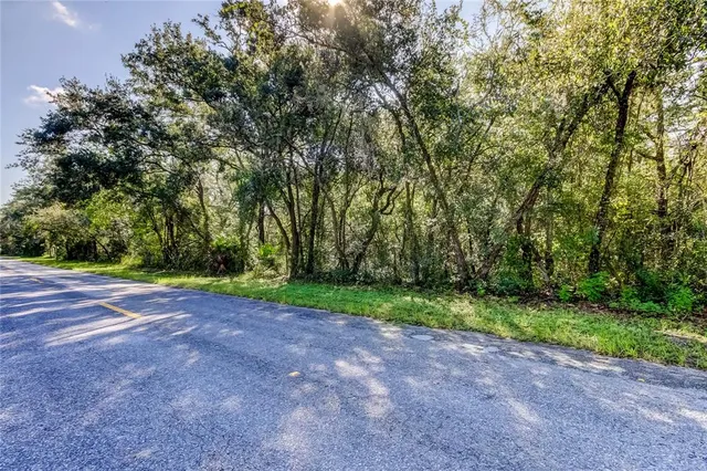 a view of a yard with a trees