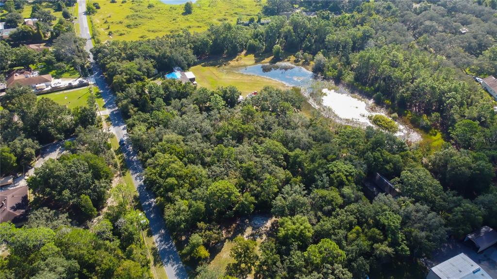 9670 Star Trail New Port Richey, FL 34654 - Photo 21 of 29 a view of a yard pathway and a park