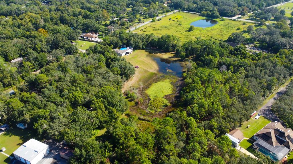 9670 Star Trail New Port Richey, FL 34654 - Photo 24 of 29 a view of a yard with plants