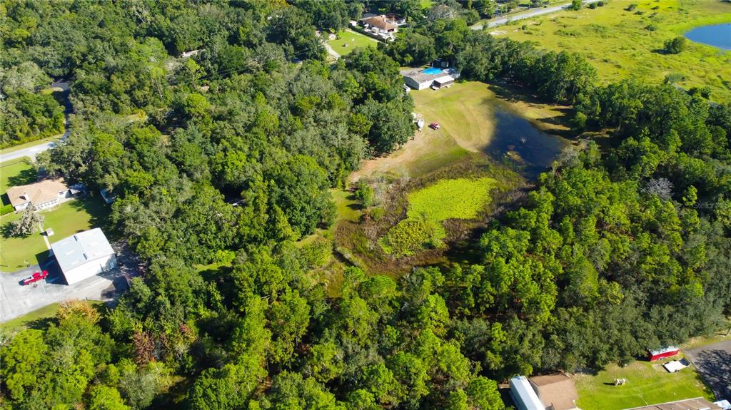 9670 Star Trail New Port Richey, FL 34654 - Photo 25 of 29 a bird view of a house with a tree park