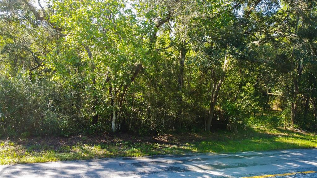 9670 Star Trail New Port Richey, FL 34654 - Photo 27 of 29 a view of a yard