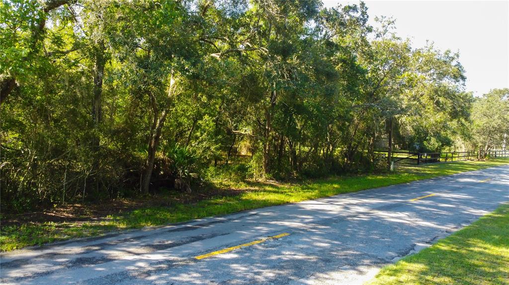 9670 Star Trail New Port Richey, FL 34654 - Photo 28 of 29 a view of a park