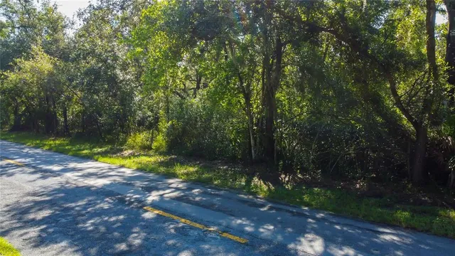 a view of an outdoor space and yard
