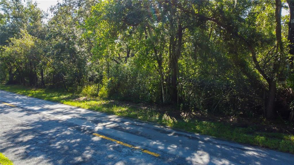 9670 Star Trail New Port Richey, FL 34654 - Photo 29 of 29 a view of an outdoor space and yard