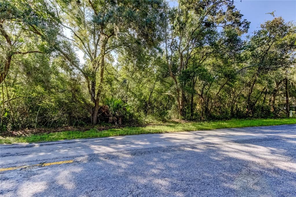 9670 Star Trail New Port Richey, FL 34654 - Photo 3 of 29 a view of outdoor space with deck and trees