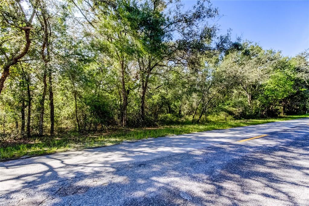 9670 Star Trail New Port Richey, FL 34654 - Photo 4 of 29 a view of a yard with a tree