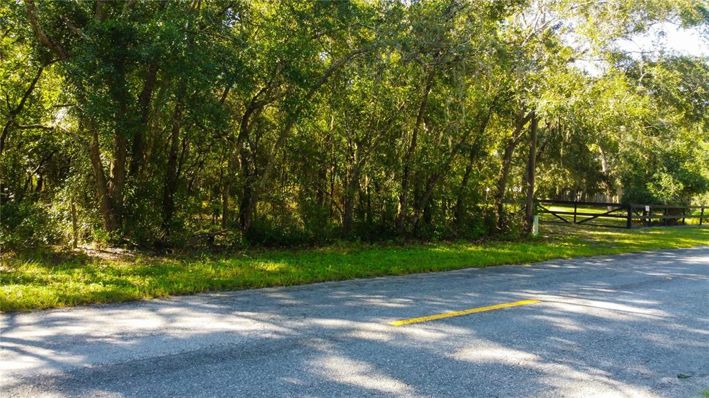 9670 Star Trail New Port Richey, FL 34654 - Photo 5 of 29 a view of a park