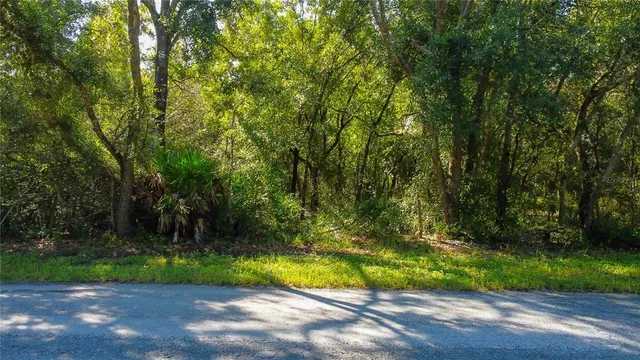a view of outdoor space and yard