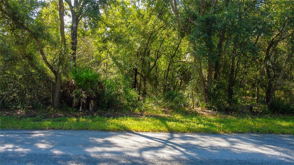 9670 Star Trail New Port Richey, FL 34654 - Photo 6 of 29 a view of outdoor space and yard