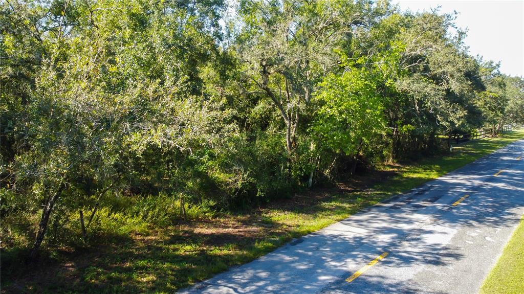 9670 Star Trail New Port Richey, FL 34654 - Photo 7 of 29 a view of a yard
