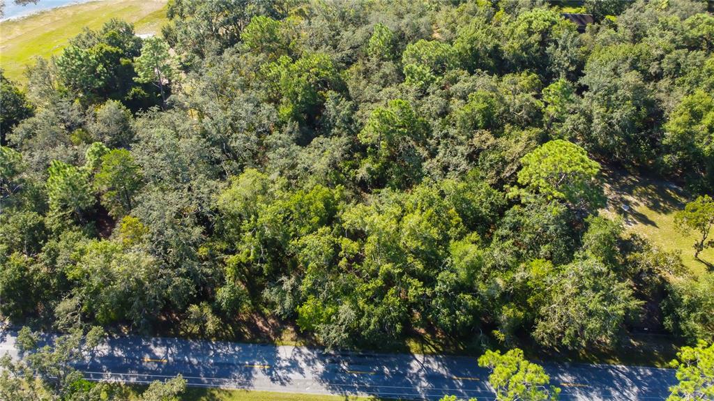 9670 Star Trail New Port Richey, FL 34654 - Photo 9 of 29 a view of a yard with plants