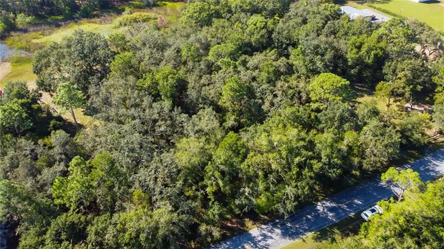 a view of a garden with plants
