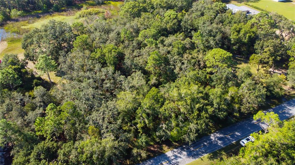 9670 Star Trail New Port Richey, FL 34654 - Photo 10 of 29 a view of a garden with plants