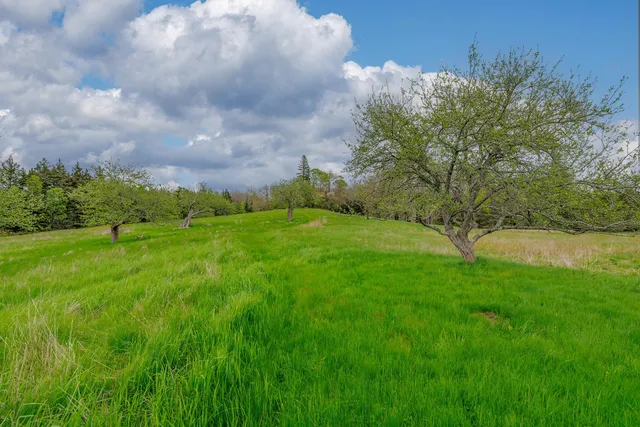 $985,000 | 17 Barbour Farm Road, Stonington, ME 04681