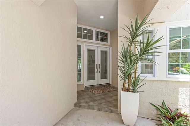 a potted plant in front of a glass door