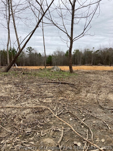 1634 Sweetie Road Fayetteville, NC 28312 - Photo 18 of 26 Pic from when cleared a few years ago