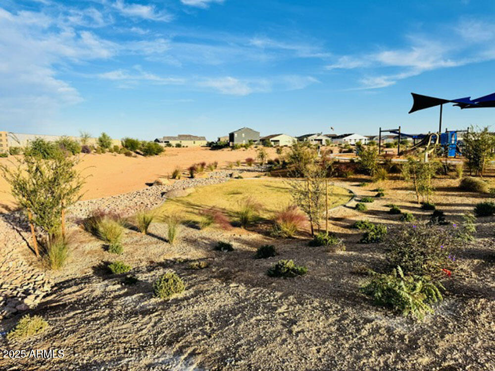46905 West Old Timer Road Maricopa, AZ 85139 - Photo 59 of 68 IMG_5021