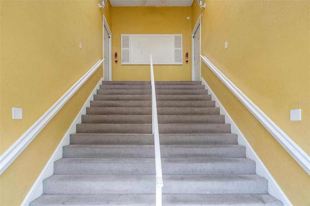 8128 Papaya Street Port Richey, FL 34668 - Photo 5 of 46