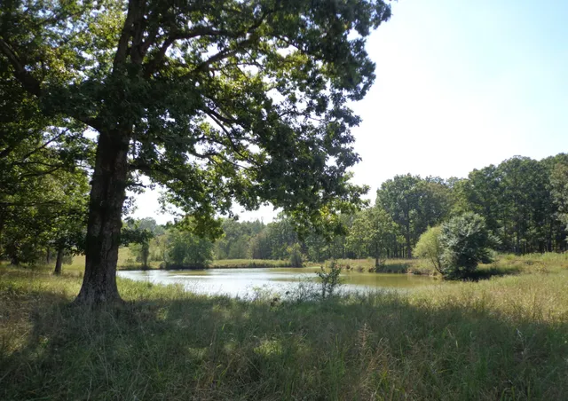 a view of outdoor space with deck area and trees