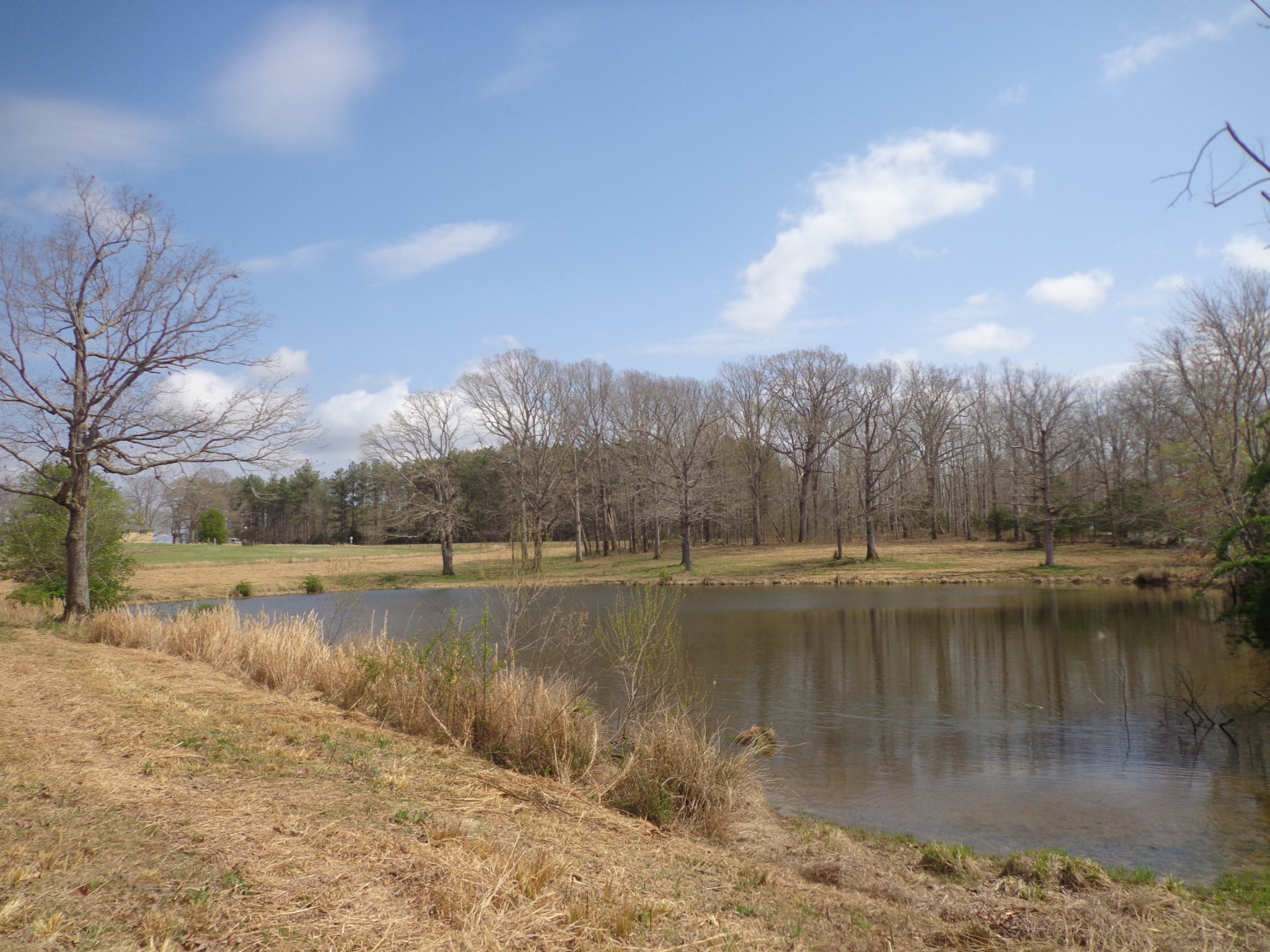 1551 Tennessee Ridge Road Waverly, TN 37185 - Photo 11 of 19